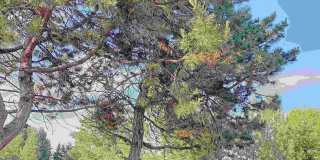 Clarke Terrace Gallery 28