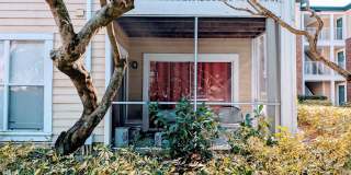 1 Bed/1 Bath, 738 Sqft - 10024 Strafford Oak Ct #815 Tampa, FL 33624 Gallery 22