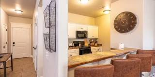 1123 S Tottenham Court Gallery 5