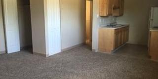 Aspen Leaf Gallery 1