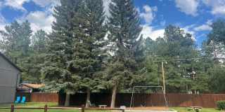 Updated Townhouse backed by National Forest Gallery 38