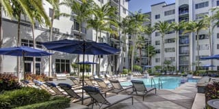 Solmar on Sixth Solmar on Sixth Gallery 2