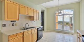 St Johns River Views! Gallery 5