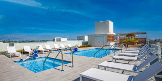 NMS Lincoln Gallery 13