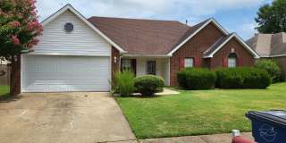 7104 Olive Ridge Dr Gallery 1