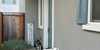 PET FRIENDLY Gallery 5