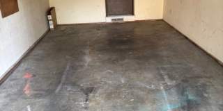 1187 1187 Gallery 12