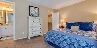 Aurella Cary Gallery 14