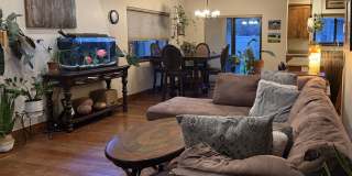 New Whitefish Rental - 3 Bedroom/2.5 Bath Beautiful Updated Home (Unfurnished). Available Aug 1st. Gallery 5