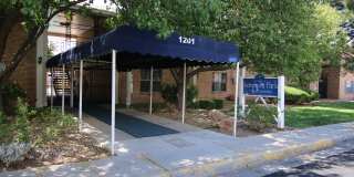 Somerset Park Gallery 29