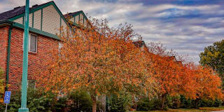 Park Meadow Gallery 11