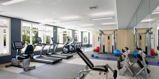 Norwood Gardens Gallery 22