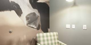 The Yards and Backyards Apartments Gallery 83