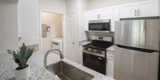 Henley at Mirror Lake Gallery 10