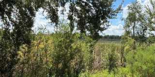 3123 SUN LAKE COURT Gallery 30