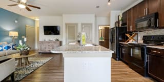 Alvista Round Rock Gallery 53