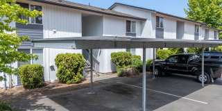 Olympic Village Gallery 2