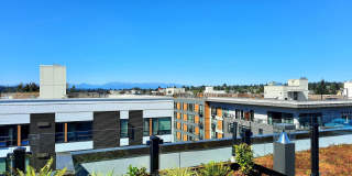 Our Newest Luxury Studios in Ballard! Gallery 43