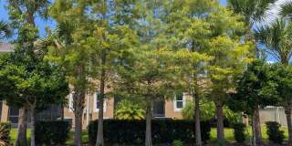 17849 Althea Blue Pl Gallery 30