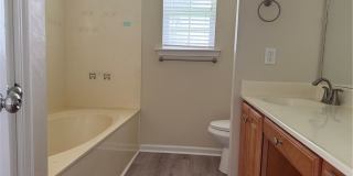 204 Standing Pine Circle Gallery 8