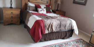 10537 E CEDAR WAXWING Drive Gallery 14