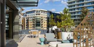 The Ivey on Boren The Ivey on Boren Gallery 2