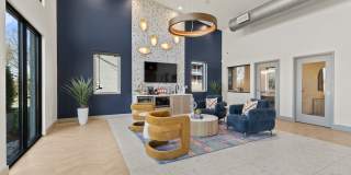 The Canvas Gallery 22