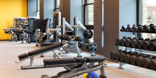 295J 295J Gallery 15