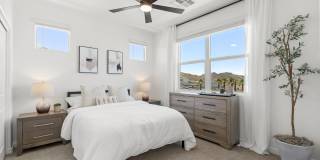Pique Residences Gallery 7