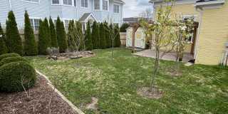 Premium location!  Downtown 3BR 2.5BA with 2 car garage Gallery 35