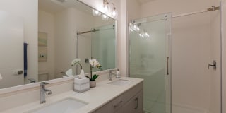 Arboretum Village Gallery 52