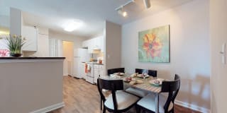 Ashley Cascade Gallery 9