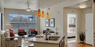 Hills at Sandy Station Gallery 7