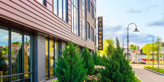 The Pioneer Gallery 53