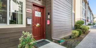 Chelsey Lane Gallery 16