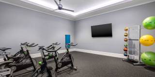 The Loop at 2800 Gallery 9