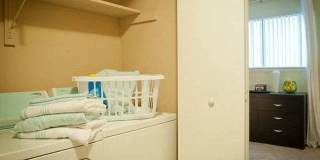 Emory Woods Gallery 13