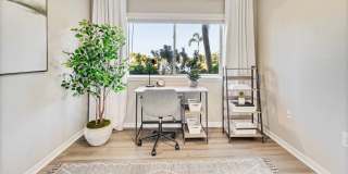 Lexington Palms at the Forum Gallery 16