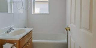 3912-28 N Pine Grove Gallery 15
