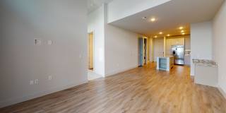 Cornell Midtown Cornell Midtown Gallery 109