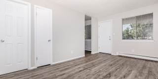 Pebble Creek Gallery 14