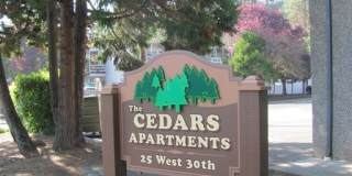 Cedars Gallery 1