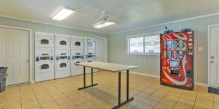 Amora East Gallery 3