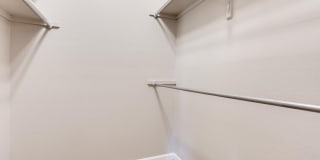 Elm at Panorama Gallery 8