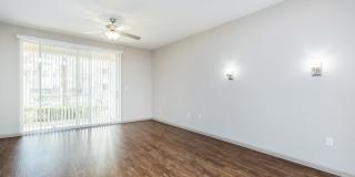 RIZE at Winter Springs Gallery 59