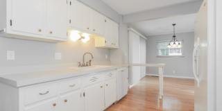 1104 Archland Drive Gallery 4