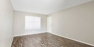 The Midway Gallery 12