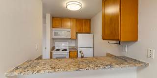 Marlene Renee Gallery 9