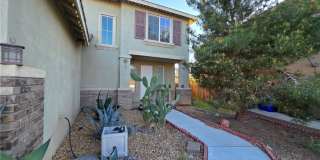 14279 Wildcat Gallery 5