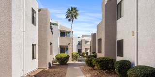 Desert Springs Gallery 7